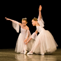 Princezna se zlatou hvězdou