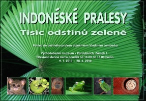 Indonéské pralesy - Tisíce odstínů zelené