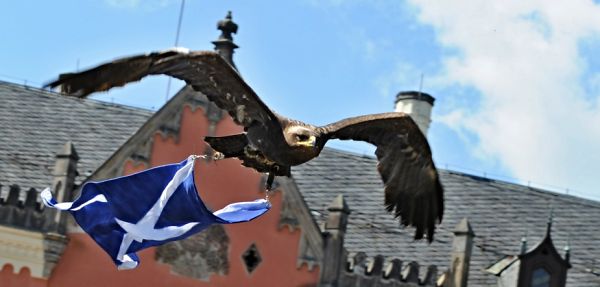 Whisky and Food Whisky and Food