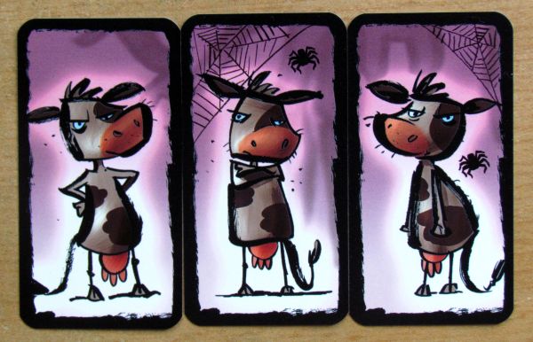 Recenze: Tarantule Tango - tanec s pavouky