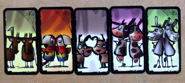 Recenze: Tarantule Tango - tanec s pavouky