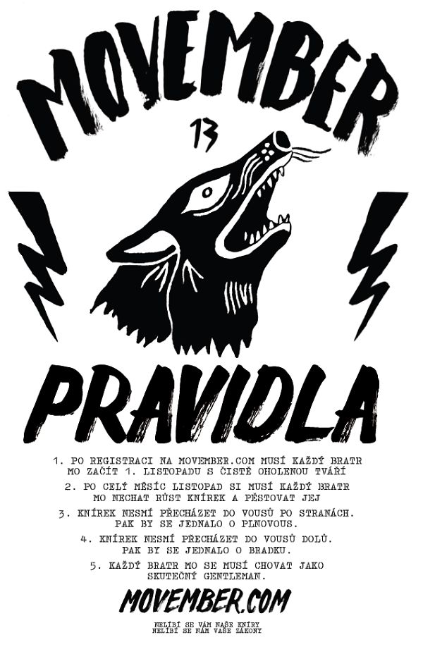 Charitativní projekt MOVEMBER Charitativní projekt MOVEMBER