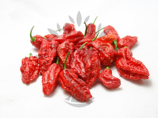 Soutěž o balíčky semínek chilli papriček