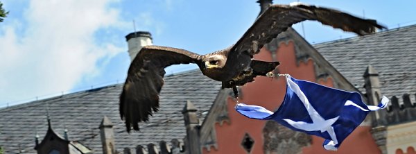 Skotsk&eacute; hry, foto: Jarom&iacute;r Zaj&iacute;ček - FotoZajda.cz