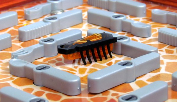 La Cucaracha - švábi v kuchyni 