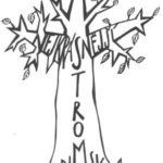Anketa o nejkrásnější strom Chrudimska