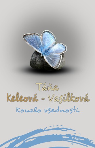Kouzlo v&scaron;ednosti