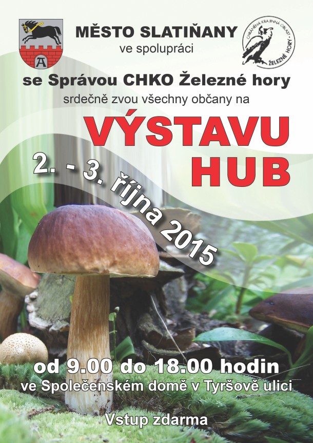 V&yacute;stava hub