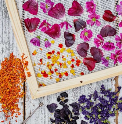 Notes Květinové kuchařky