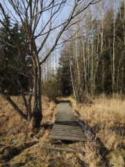 Př&iacute;rodn&iacute; rezervace Niva Doubravy