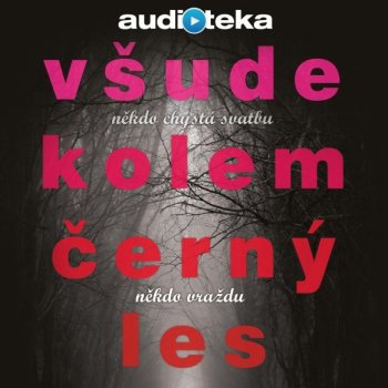 Všude kolem černý les