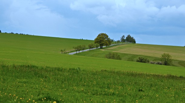 Cesta k Modletínu Cesta k Modletínu