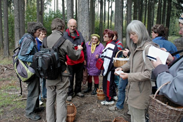 Mykologická vycházka do lesů na Podhůře 