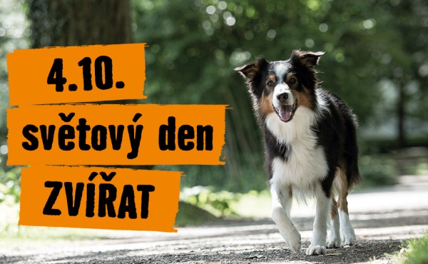 Mezinárodní den zvířat - 4. října Mezinárodní den zvířat - 4. října