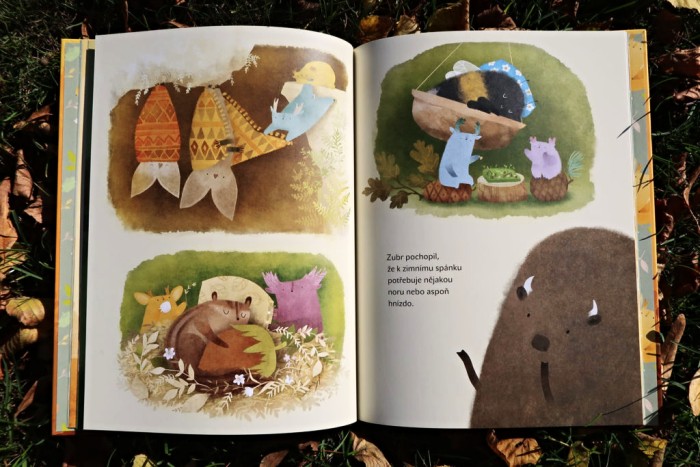 Zubr si hledá hnízdo