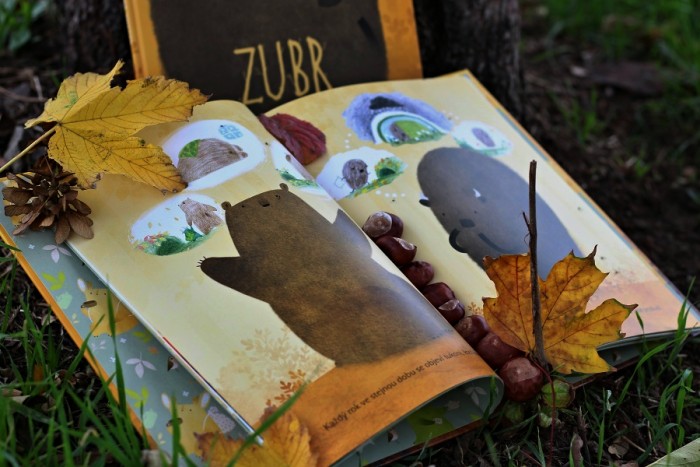 Zubr si hledá hnízko