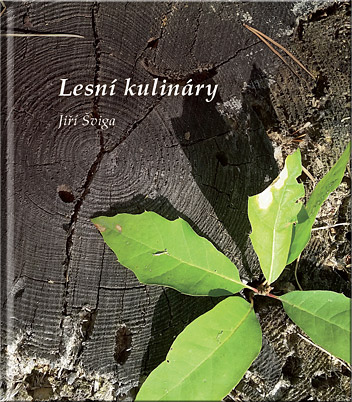 Lesní kulináry