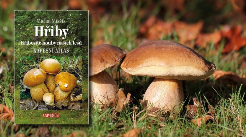 Hřiby - soutěž o knihy