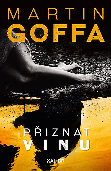 Přiznat vinu - obal knihy