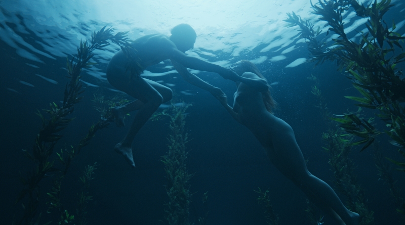 Psi nenosí kalhoty Finský film