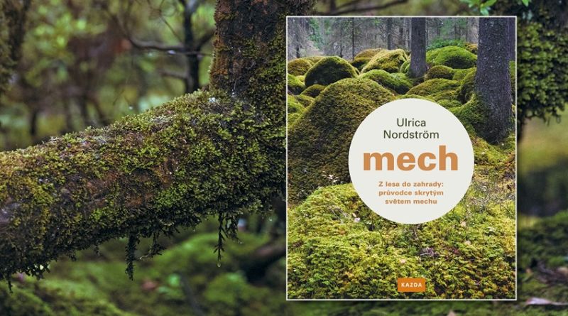 Mech - Z lesa do zahrady: průvodce skrytým světem mechu