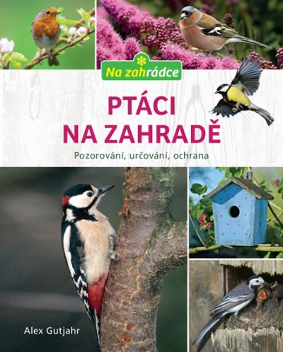Ptáci na zahradě (Esence)