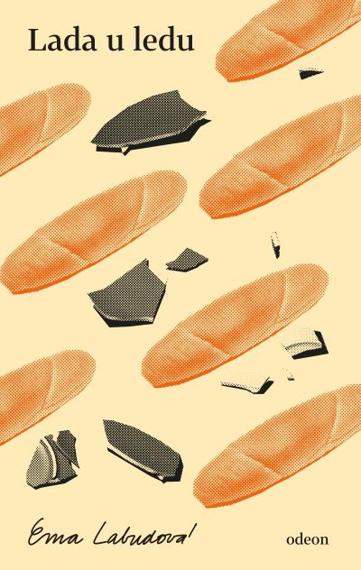 Lada u ledu - recenze knihy