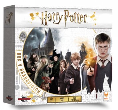 Harry Potter: Rok v Bradavicích
