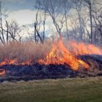 Jarní nešvar: vypalování trávy