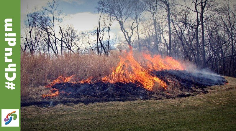 Vypalování trávy