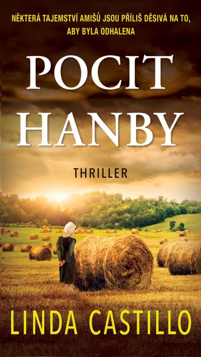 Pocit hanby - recenze