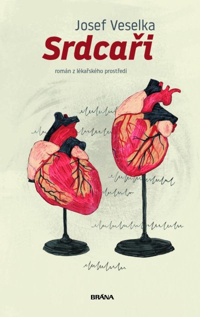 Srdcaři - recenze