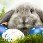 Proč se vlastně slaví Velikonoce?
