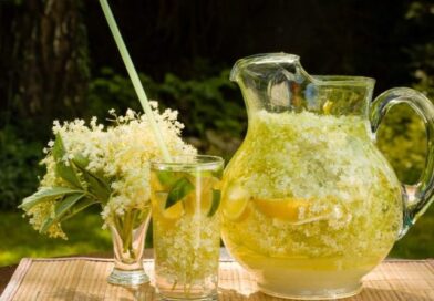 Černý bez - sirup