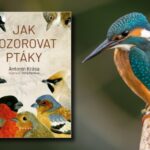 SOUTĚŽ o knihu Jak pozorovat ptáky