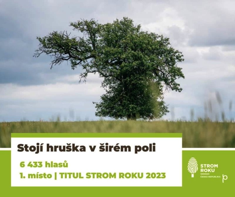 Strom roku 2023