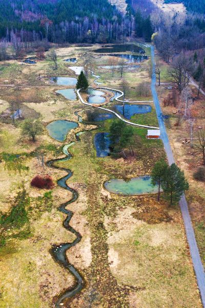 Soustava tůní na Kochánovické střelnici. (Autor Zuzana Růžičková)