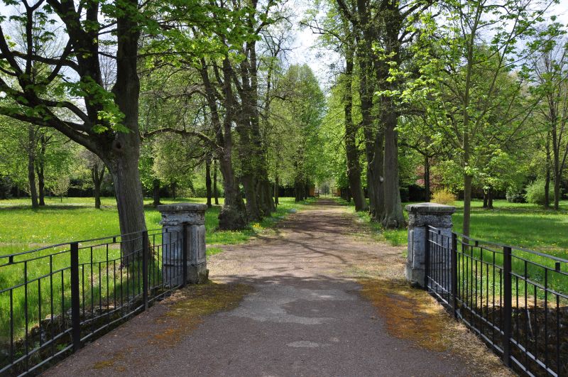 Chroustovice - most Novohradka alej lip