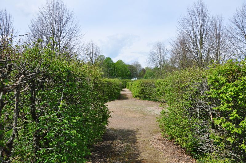 Chroustovice - střed francouzské zahrady