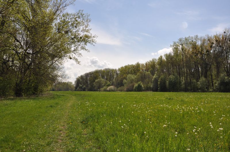 Chroustovice - zámecká bažantnice s loukou