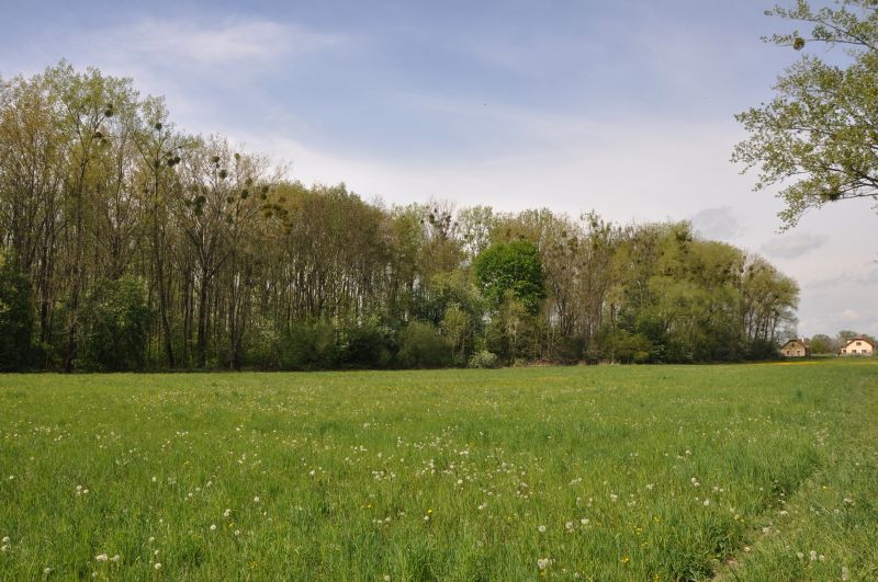 Chroustovice - zámecká bažantnice