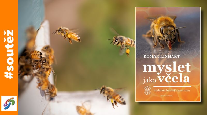 Myslet jako včela - soutěž