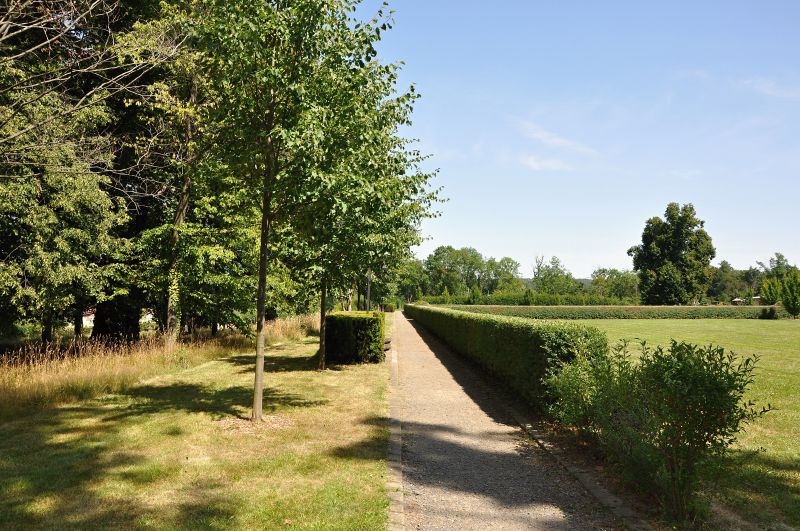 Panská zahrada - aleje