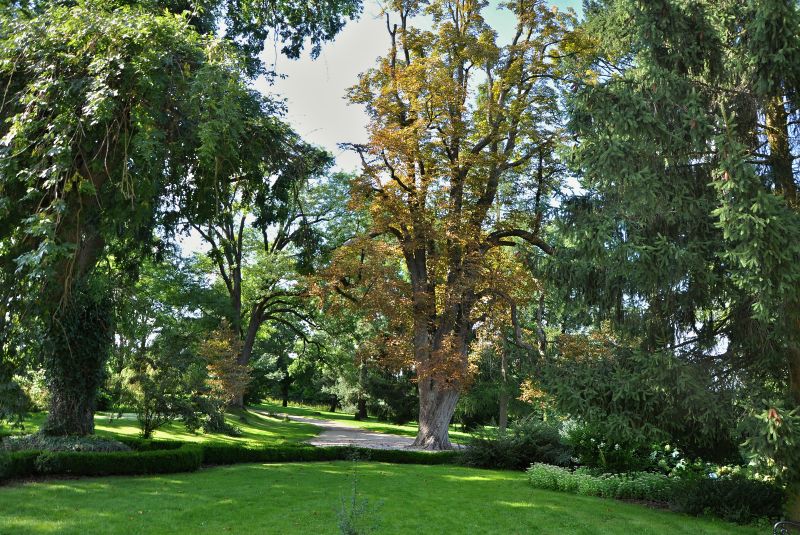 Klokočov před zámkem