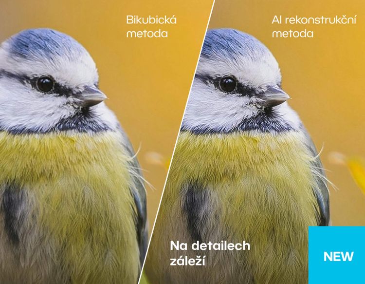 AI zvětšení rozměrů