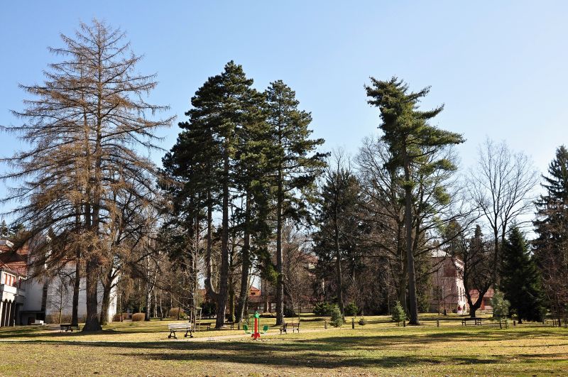 Luže arboretum