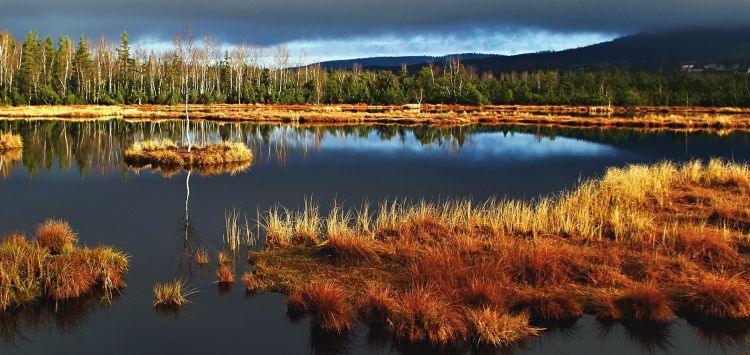 Nejkrásnější mokřady České republiky