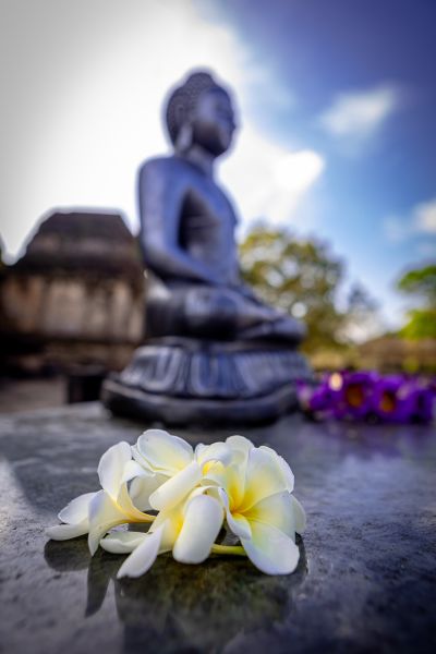 Srí Lanka (foto Hainall)