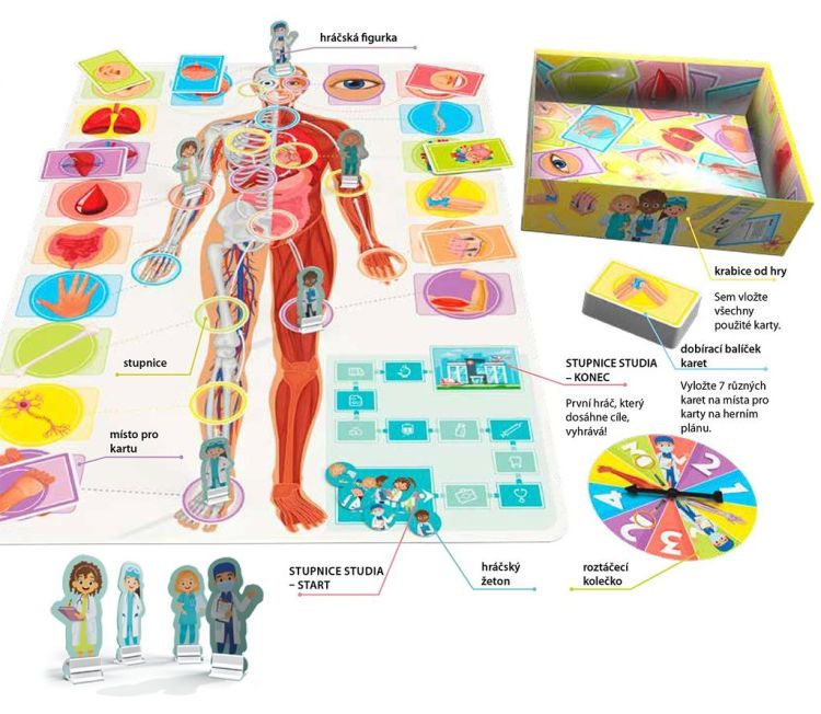 Pojďme se učit: Naše úžasné tělo