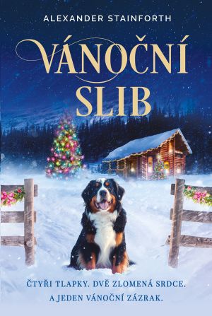 Vánoční slib (Fortuna Libri)